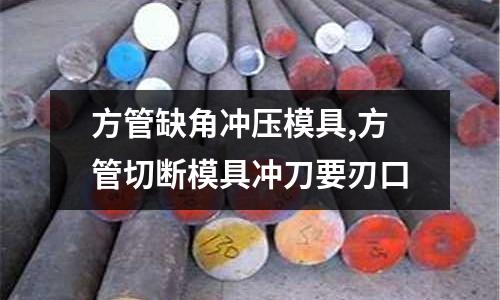 方管缺角沖壓模具,方管切斷模具沖刀要刃口