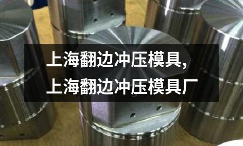 上海翻邊沖壓模具,上海翻邊沖壓模具廠