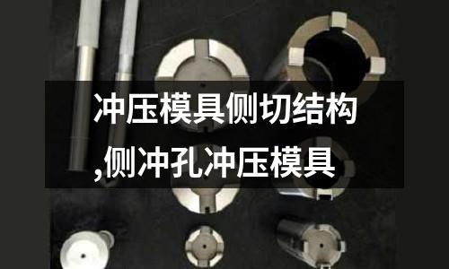 沖壓模具側(cè)切結(jié)構(gòu),側(cè)沖孔沖壓模具