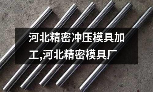 河北精密沖壓模具加工,河北精密模具廠