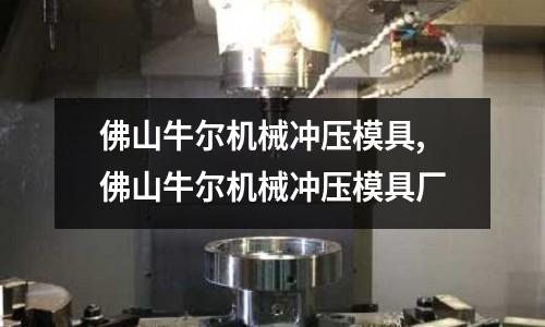 佛山牛爾機械沖壓模具,佛山牛爾機械沖壓模具廠