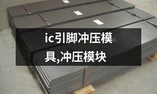 ic引腳沖壓模具,沖壓模塊