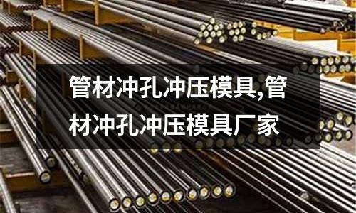 管材沖孔沖壓模具,管材沖孔沖壓模具廠家