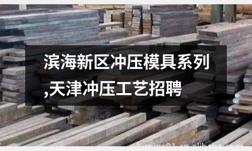 濱海新區(qū)沖壓模具系列,天津沖壓工藝招聘