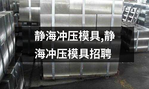 靜海沖壓模具,靜海沖壓模具招聘