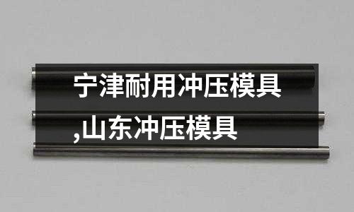 寧津耐用沖壓模具,山東沖壓模具