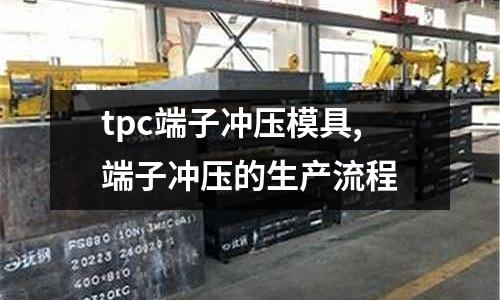 tpc端子沖壓模具,端子沖壓的生產(chǎn)流程