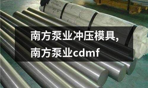 南方泵業(yè)沖壓模具,南方泵業(yè)cdmf