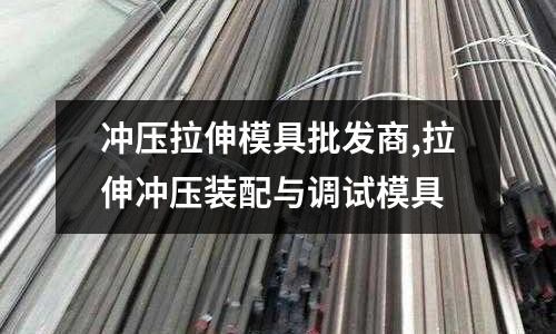 沖壓拉伸模具批發(fā)商,拉伸沖壓裝配與調試模具