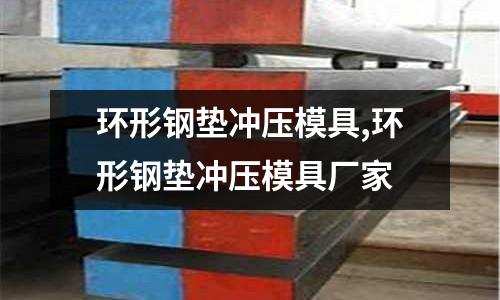 環(huán)形鋼墊沖壓模具,環(huán)形鋼墊沖壓模具廠家