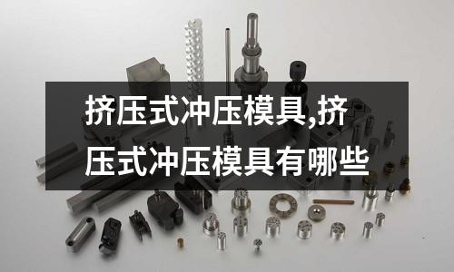 擠壓式?jīng)_壓模具,擠壓式?jīng)_壓模具有哪些