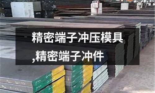 精密端子沖壓模具,精密端子沖件