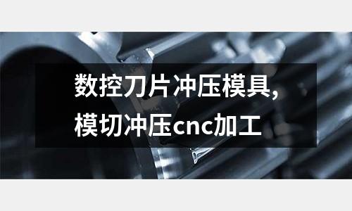 數(shù)控刀片沖壓模具,模切沖壓cnc加工