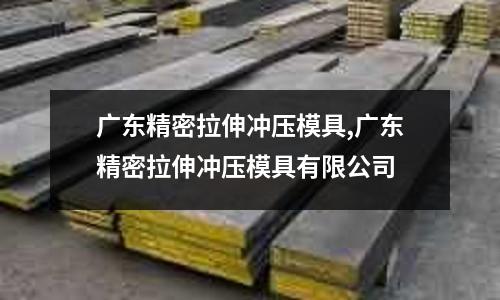 廣東精密拉伸沖壓模具,廣東精密拉伸沖壓模具有限公司