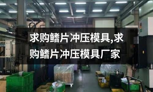 求購鰭片沖壓模具,求購鰭片沖壓模具廠家