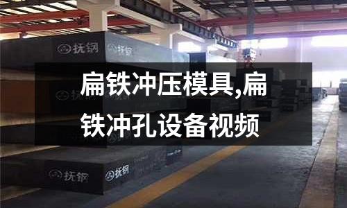 扁鐵沖壓模具,扁鐵沖孔設(shè)備視頻