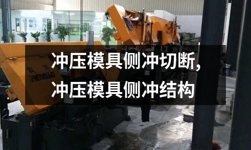 沖壓模具側沖切斷,沖壓模具側沖結構