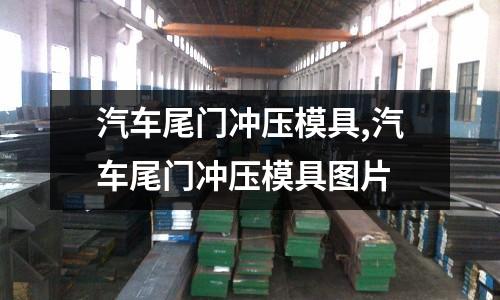 汽車尾門沖壓模具,汽車尾門沖壓模具圖片