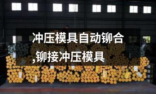 沖壓模具自動鉚合,鉚接沖壓模具