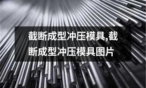 截?cái)喑尚蜎_壓模具,截?cái)喑尚蜎_壓模具圖片