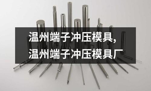 溫州端子沖壓模具,溫州端子沖壓模具廠