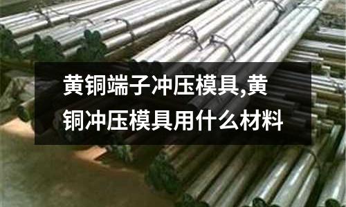 黃銅端子沖壓模具,黃銅沖壓模具用什么材料