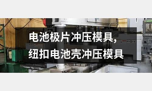 電池極片沖壓模具,紐扣電池殼沖壓模具