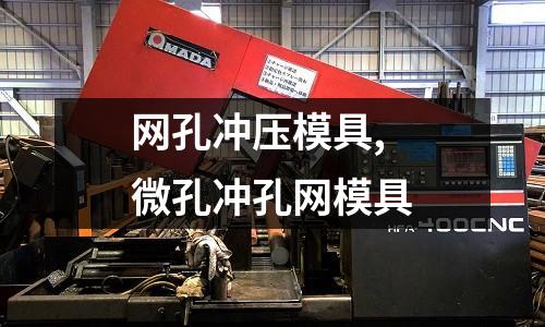 網(wǎng)孔沖壓模具,微孔沖孔網(wǎng)模具