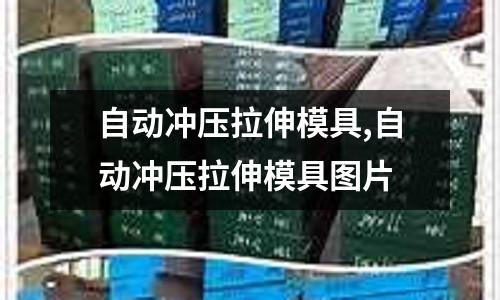 自動沖壓拉伸模具,自動沖壓拉伸模具圖片