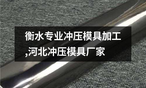 衡水專業(yè)沖壓模具加工,河北沖壓模具廠家