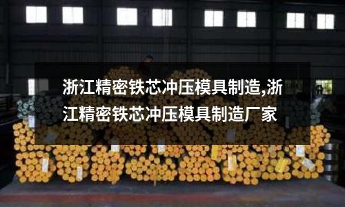 浙江精密鐵芯沖壓模具制造,浙江精密鐵芯沖壓模具制造廠家