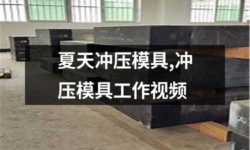 夏天沖壓模具,沖壓模具工作視頻