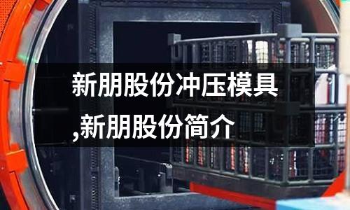 新朋股份沖壓模具,新朋股份簡介