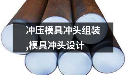 沖壓模具沖頭組裝,模具沖頭設(shè)計(jì)