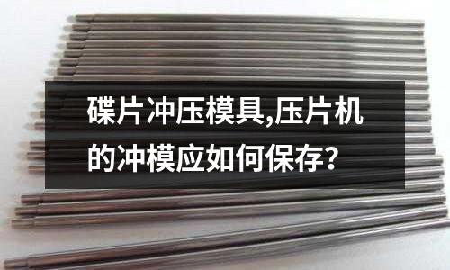 碟片沖壓模具,壓片機的沖模應(yīng)如何保存？