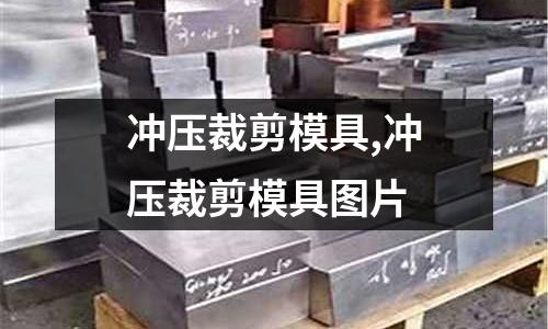 沖壓裁剪模具,沖壓裁剪模具圖片