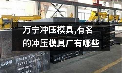 萬寧沖壓模具,有名的沖壓模具廠有哪些