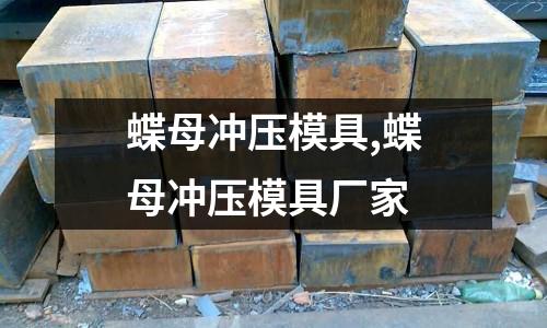 蝶母沖壓模具,蝶母沖壓模具廠家