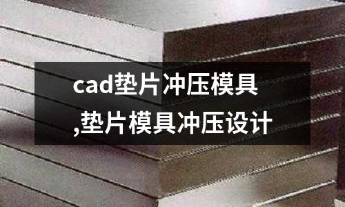 cad墊片沖壓模具,墊片模具沖壓設(shè)計(jì)