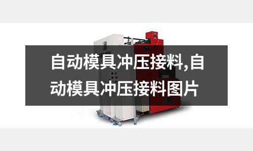 自動模具沖壓接料,自動模具沖壓接料圖片