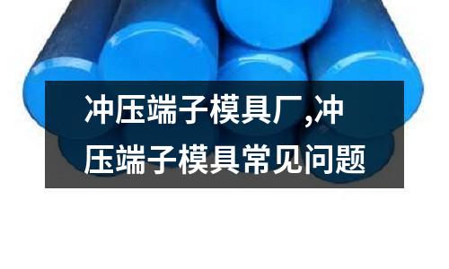 沖壓端子模具廠,沖壓端子模具常見問題