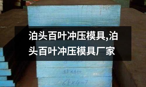 泊頭百葉沖壓模具,泊頭百葉沖壓模具廠家