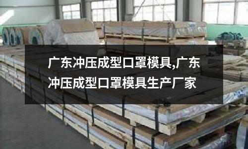 廣東沖壓成型口罩模具,廣東沖壓成型口罩模具生產(chǎn)廠家