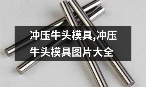 沖壓牛頭模具,沖壓牛頭模具圖片大全