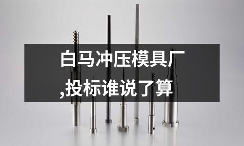 白馬沖壓模具廠,投標(biāo)誰說了算