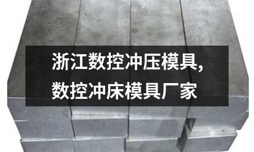 浙江數(shù)控沖壓模具,數(shù)控沖床模具廠家