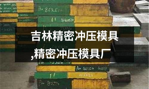 吉林精密沖壓模具,精密沖壓模具廠