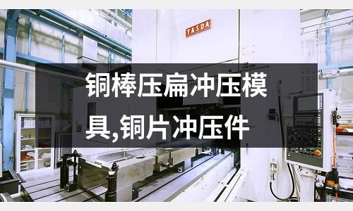 銅棒壓扁沖壓模具,銅片沖壓件