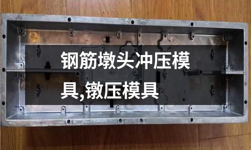 鋼筋墩頭沖壓模具,鐓壓模具