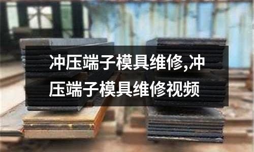 沖壓端子模具維修,沖壓端子模具維修視頻